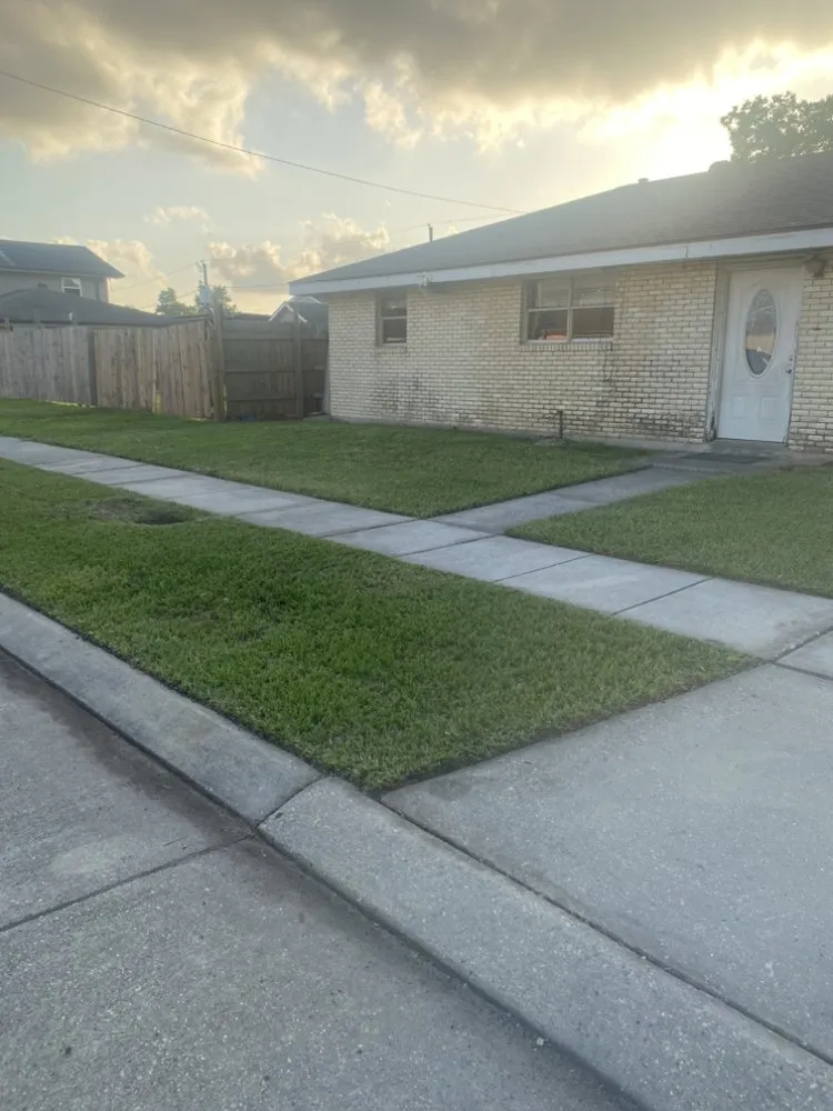 Custom garden landscaping in New Orleans, LA by Transitional Enterprises