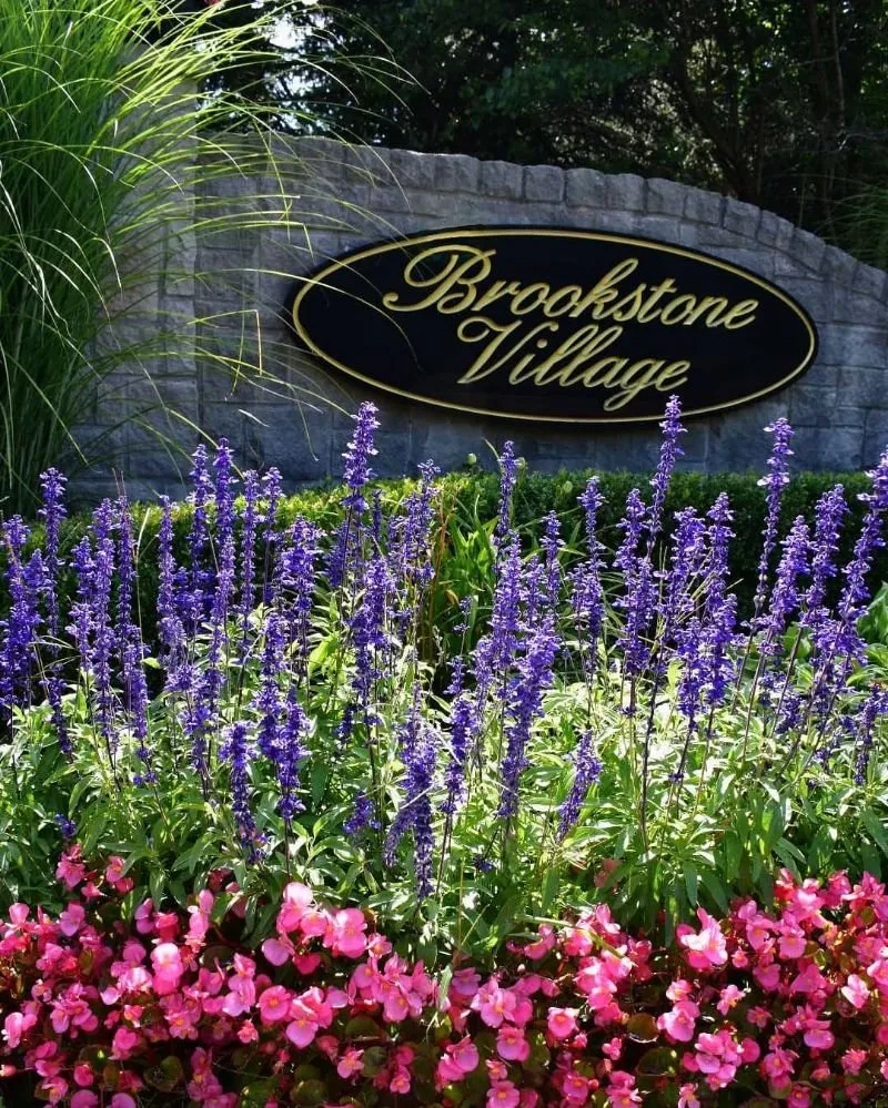 Top-rated landscaping services experts serving Plymouth, MI - Transitions Outdoor Services