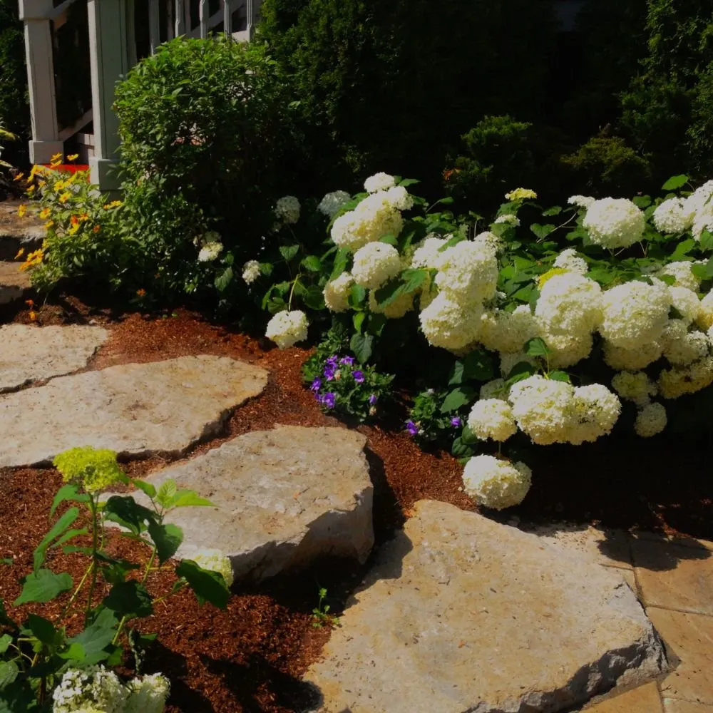 Top-rated yard cleanup service in Plymouth, MI - Transitions Outdoor Services