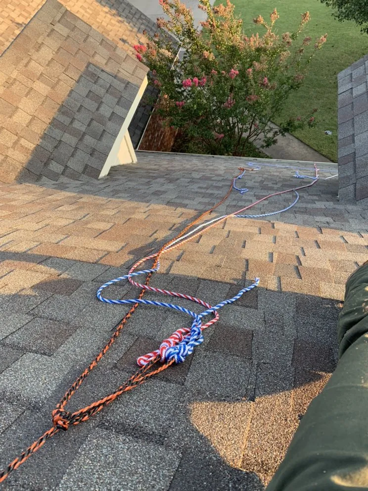 Professional lawn care service experts serving Bella Vista, AR - Transparent Handyman Service