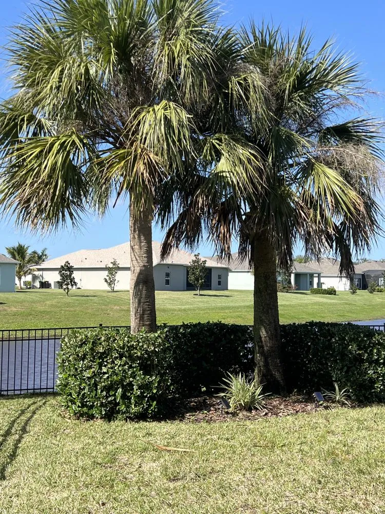 Reliable outdoor landscaping experts serving Melbourne, FL - Transparent