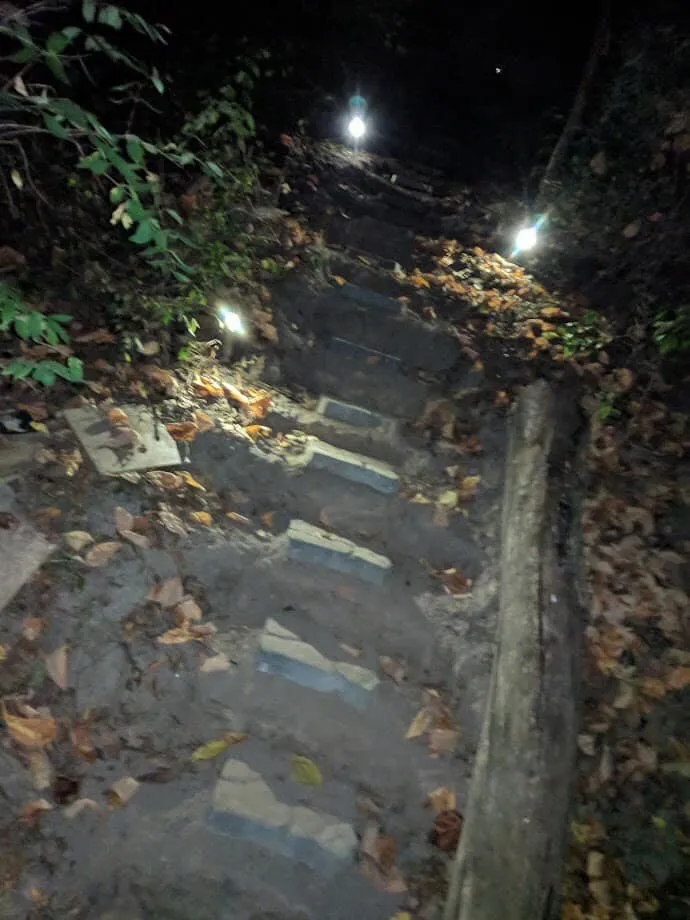 Affordable landscape design experts serving Peoria, IL - Trap Construction