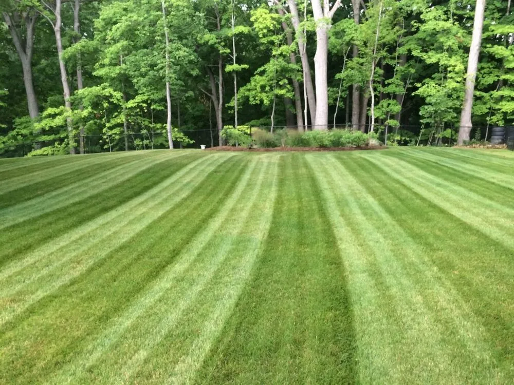 Local landscape design in Ogdensburg, NY by Trash, Grass and Snow