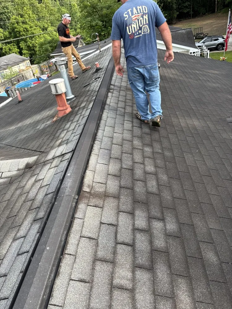 Expert yard maintenance for year-round maintenance in South Shore, KY by Trashed Landscaping and Powerwashing