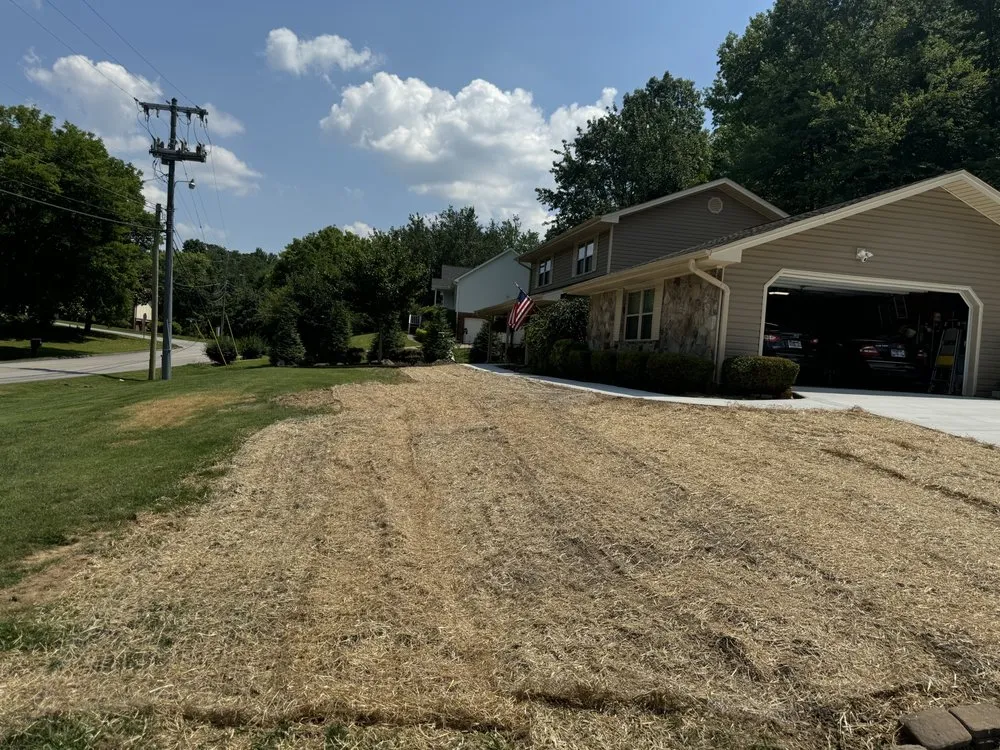 Expert yard maintenance experts serving Soddy-Daisy, TN - Traub Landscape & Pressure Washing