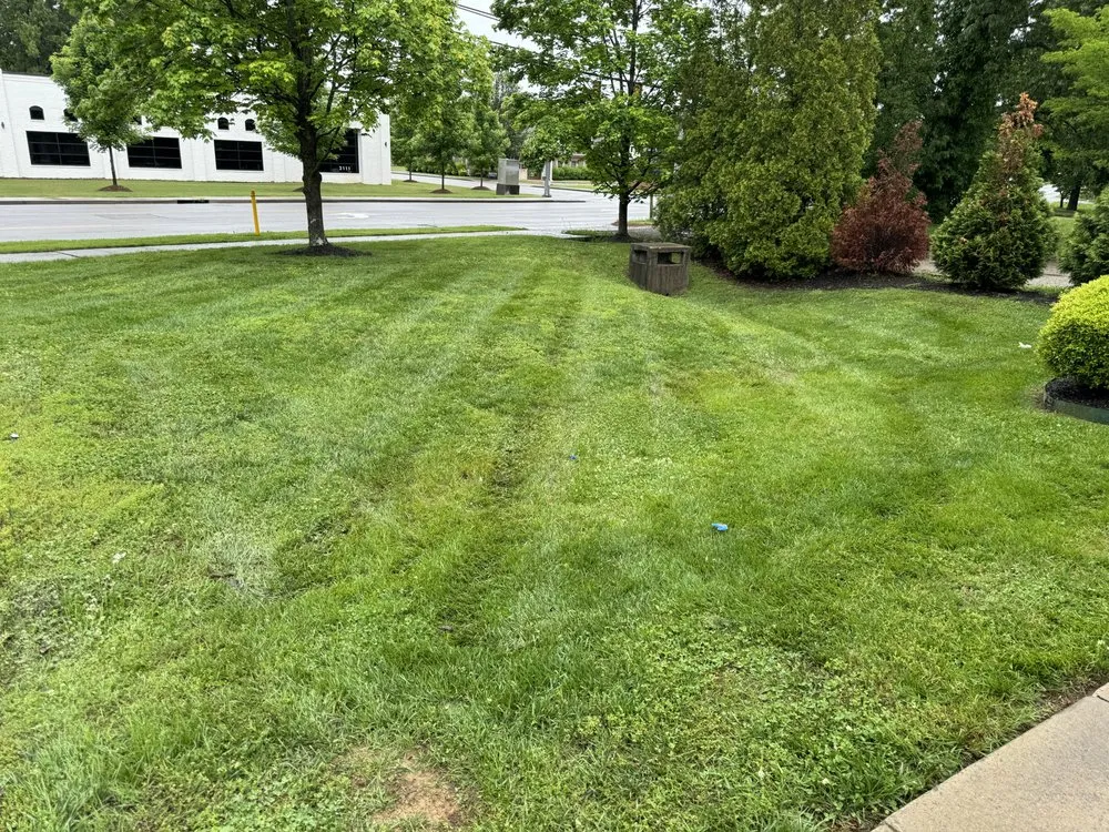 Expert yard cleanup service in Soddy-Daisy, TN by Traub Landscape & Pressure Washing