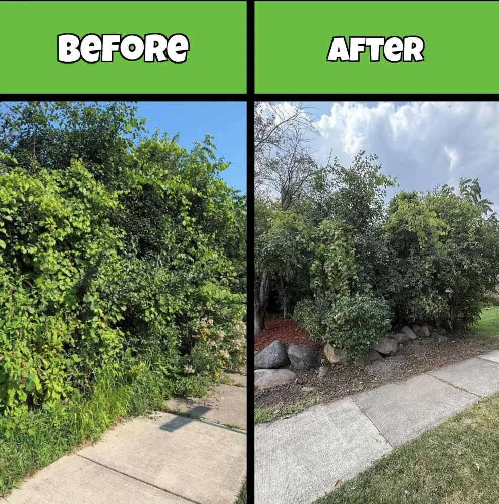 Local lawn mowing service for year-round maintenance in Canton, MI by Traub Landscape Management