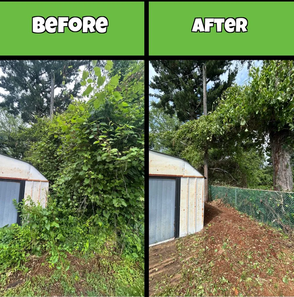 Affordable residential landscaping in Canton, MI by Traub Landscape Management