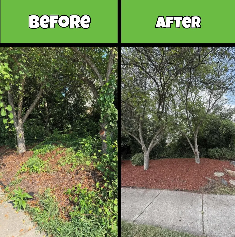 Affordable lawn mowing service for homes across Canton, MI - Traub Landscape Management