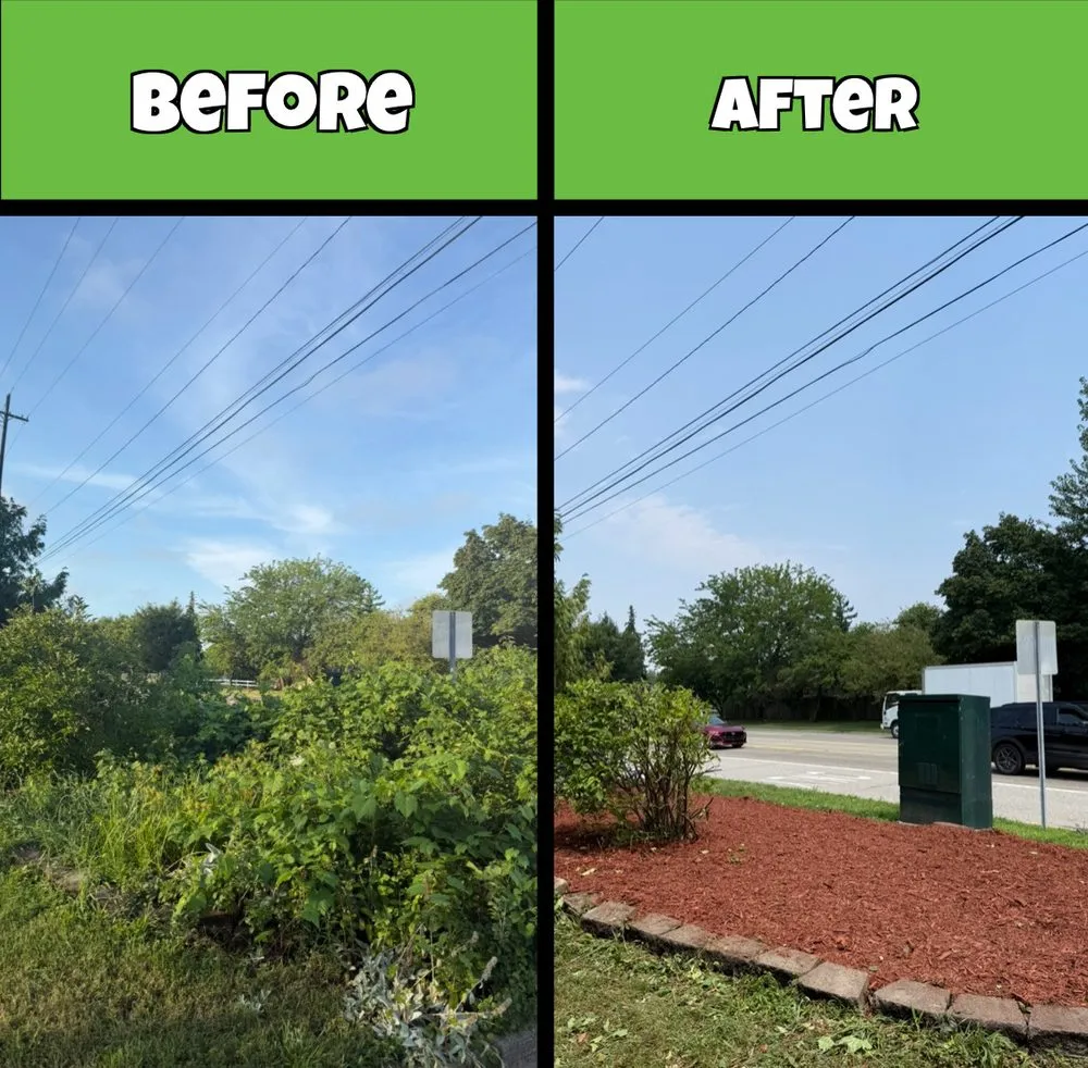 Top-rated landscape installation in Canton, MI - Traub Landscape Management