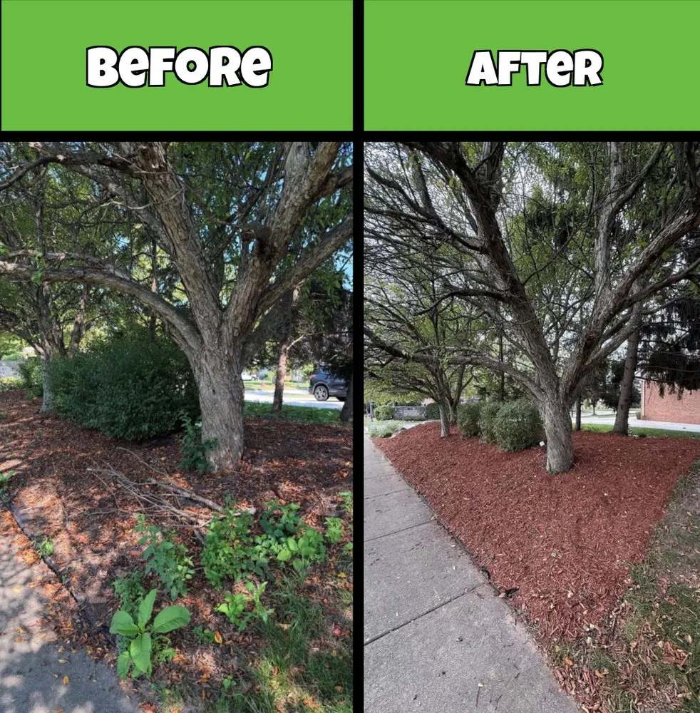 Professional outdoor landscaping in Canton, MI - Traub Landscape Management