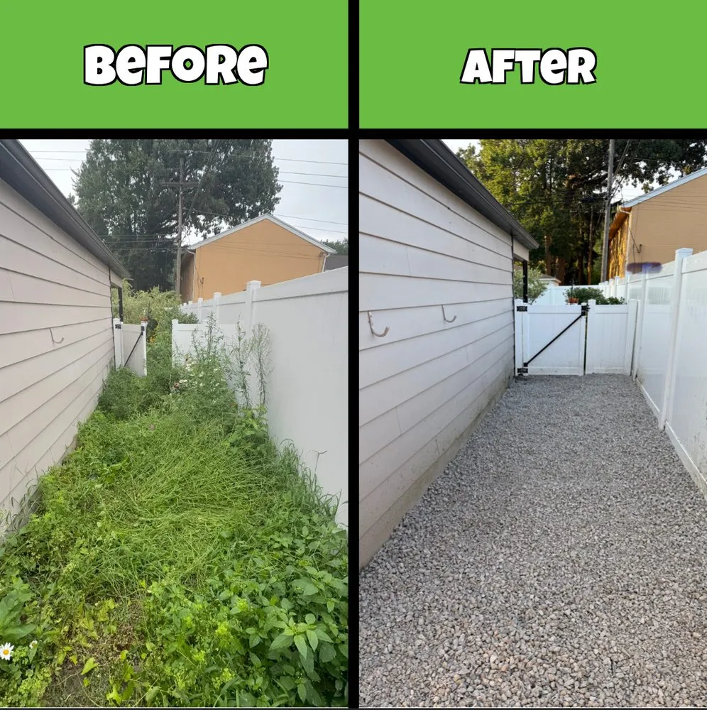 Top-rated lawn care service for beautiful yards across Canton, MI - Traub Landscape Management