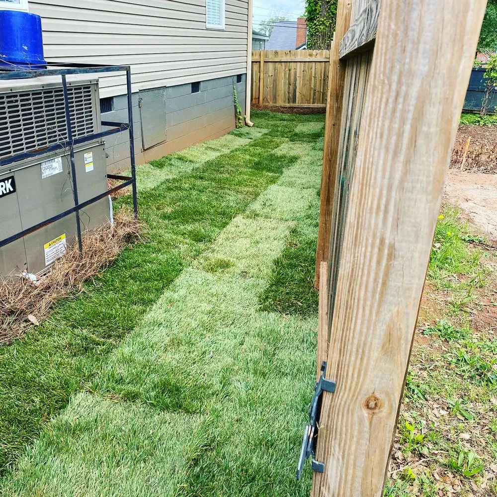 Reliable yard cleanup service in Spartanburg, SC by Trauma landscapes