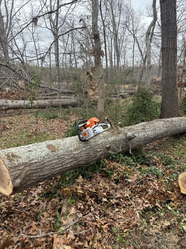 Top-rated landscape installation in Spartanburg, SC - Trauma landscapes