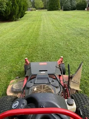 Trauma landscapes Logo