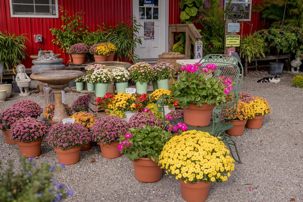 Custom lawn care service for year-round maintenance in Clermont, FL by Traveling Trees Garden Center