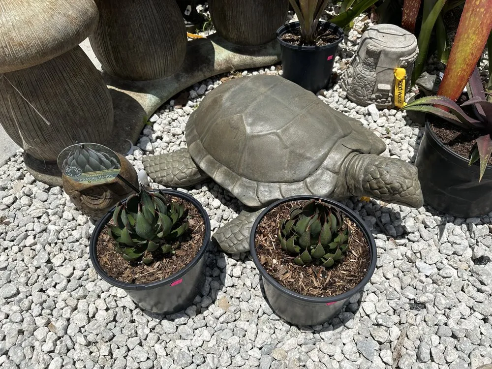 Local lawn care service in Clermont, FL - Traveling Trees Garden Center