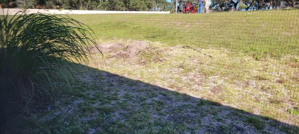 Reliable lawn care service for outdoor upgrades in Clermont, FL by Traveling Trees Garden Center