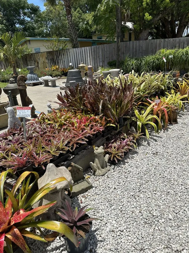 Reliable lawn care service for outdoor upgrades across Clermont, FL - Traveling Trees Garden Center