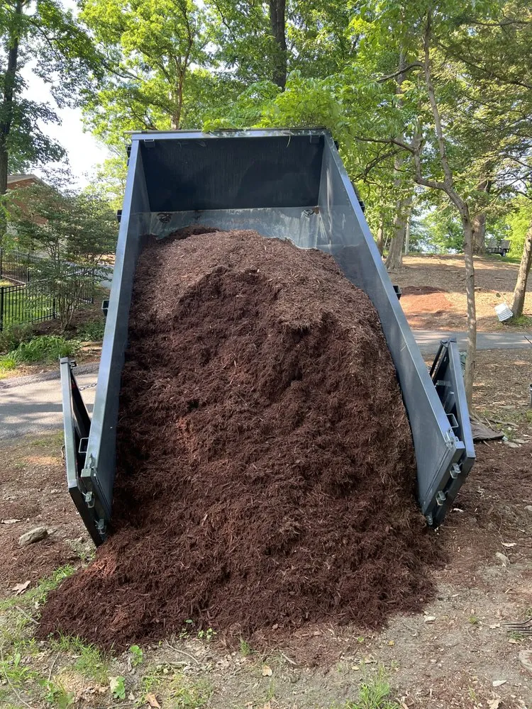 Expert lawn care service experts serving Morgantown, WV - Travers Hauling & Services