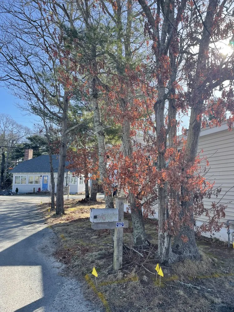 Local landscape design experts serving Sagamore Beach, MA - Travers Landscape Construction & Engineering