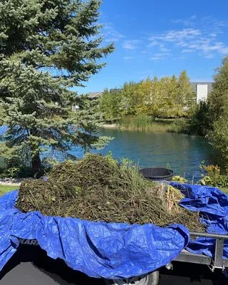 Traverse Area Lawn Care Logo