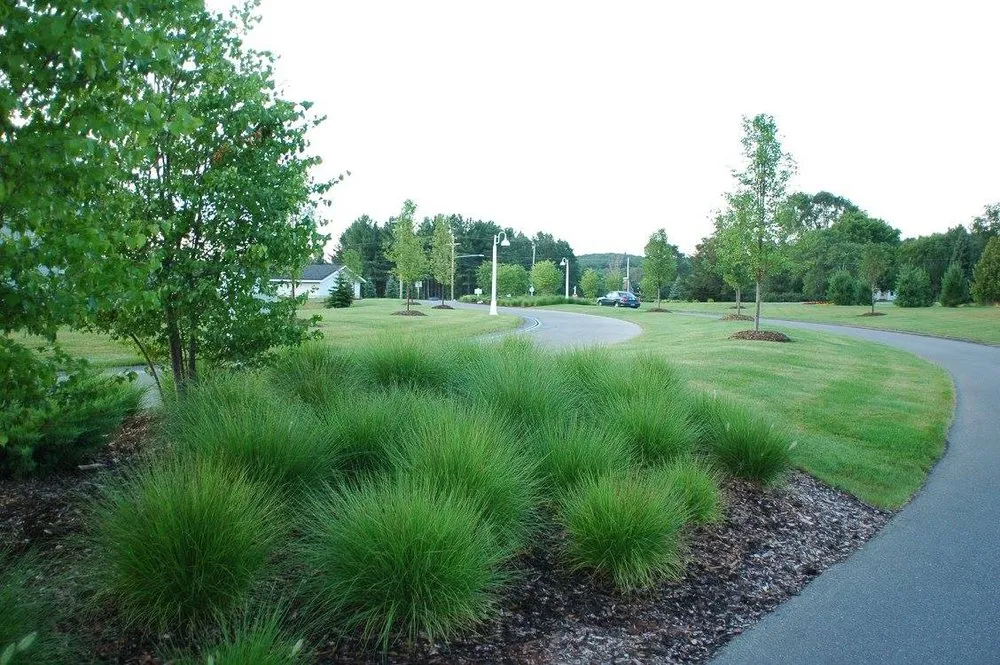 Top-rated landscape design in Traverse City, MI - Traverse Outdoor