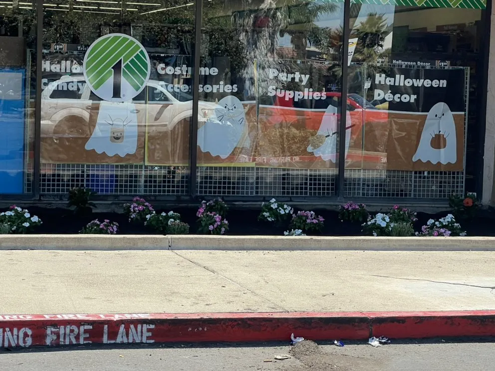 Top-rated lawn care service in Stockton, CA - Traviezo Landscaping