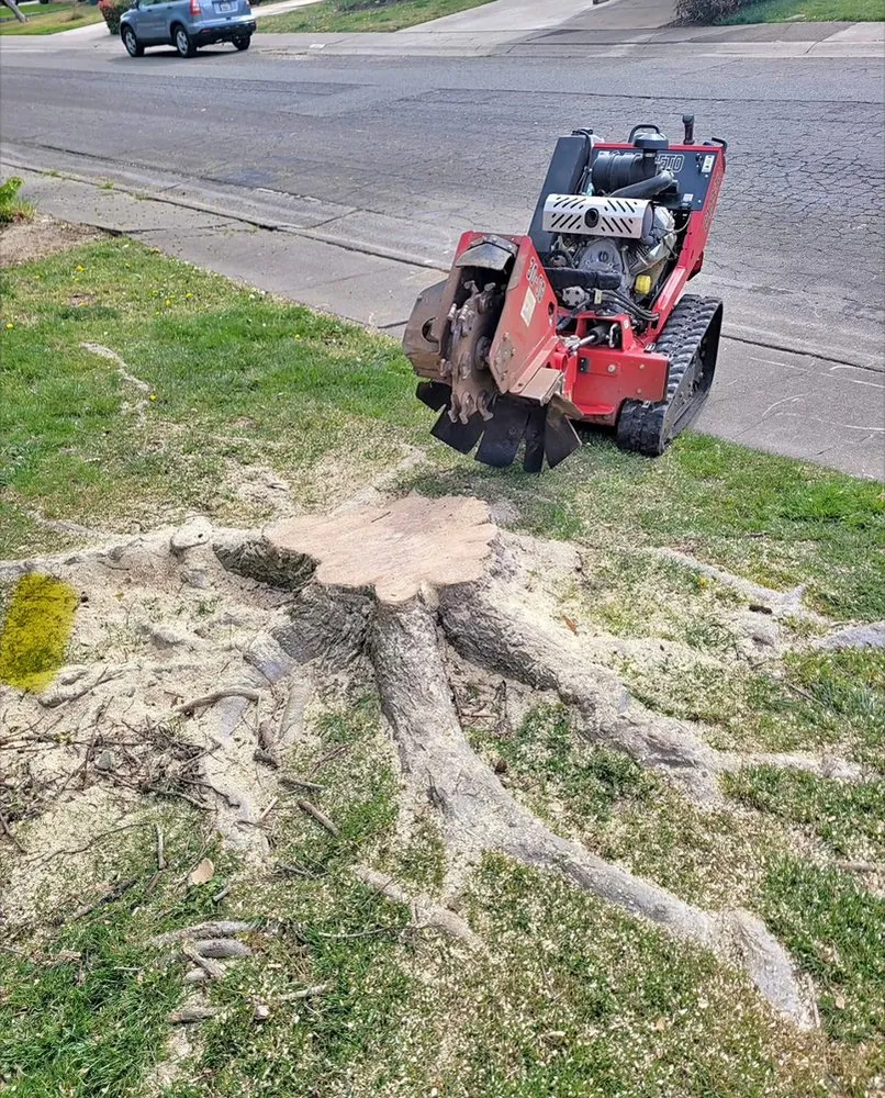 Custom lawn care service in Stockton, CA by Traviezo Landscaping