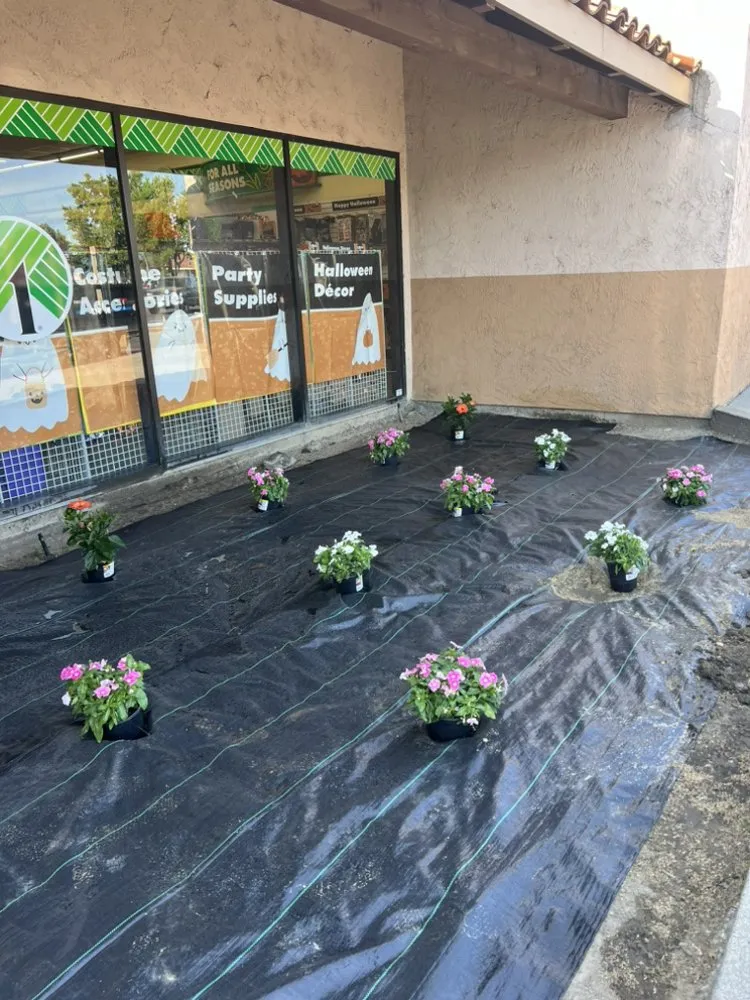 Expert yard cleanup service in Stockton, CA - Traviezo Landscaping