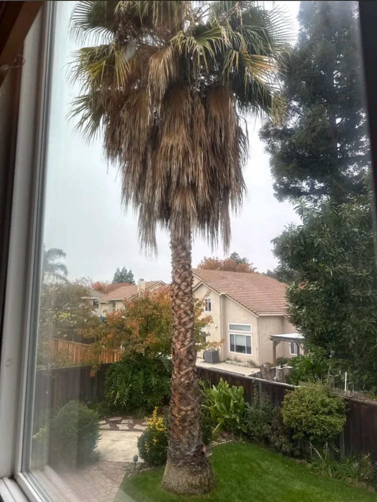 Affordable garden landscaping in Stockton, CA - Traviezo Landscaping