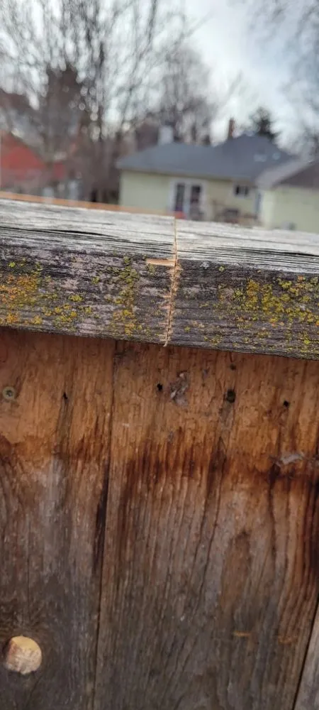 Trusted landscape installation with custom design in Boise, ID by Travii the Jedi Handyman Services