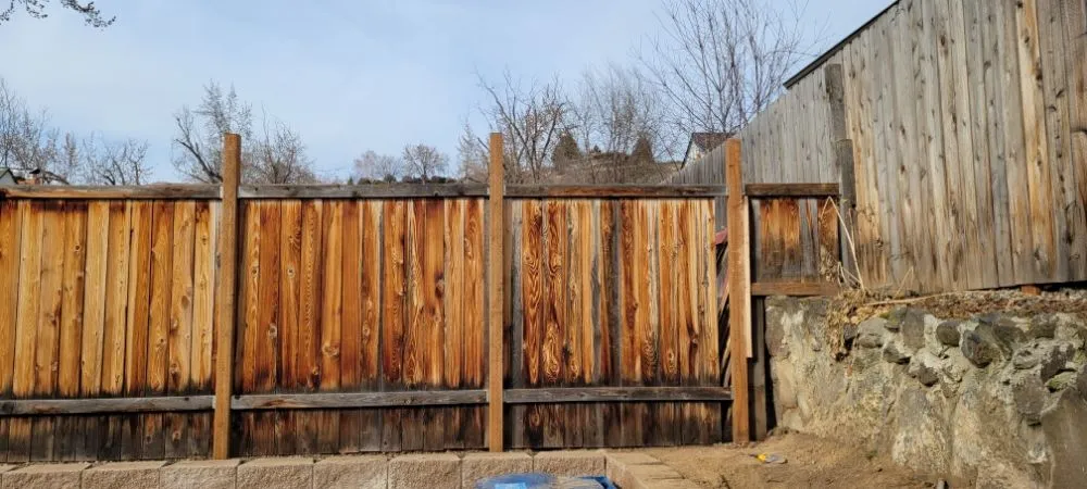 Expert lawn care service for year-round maintenance in Boise, ID by Travii the Jedi Handyman Services