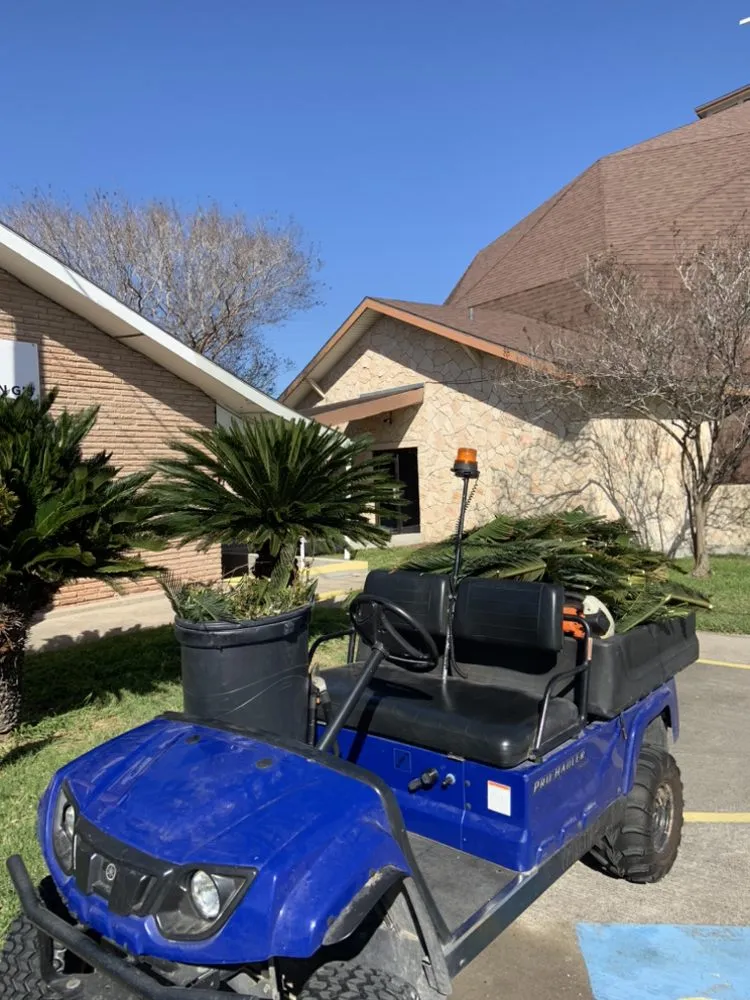 Professional landscape installation in Kingsville, TX by Travis’ Lawn Service