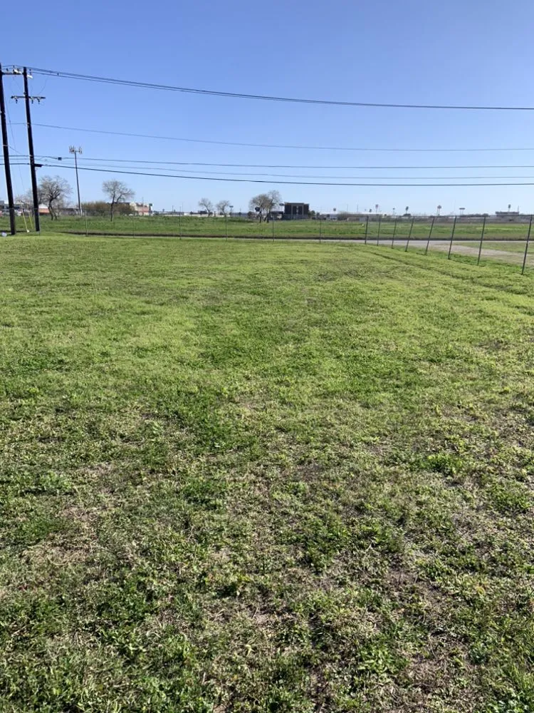 Local yard maintenance experts serving Kingsville, TX - Travis’ Lawn Service