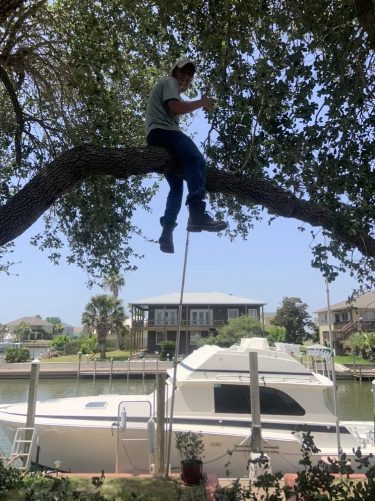 Local landscaping services in Kingsville, TX by Travis’ Lawn Service