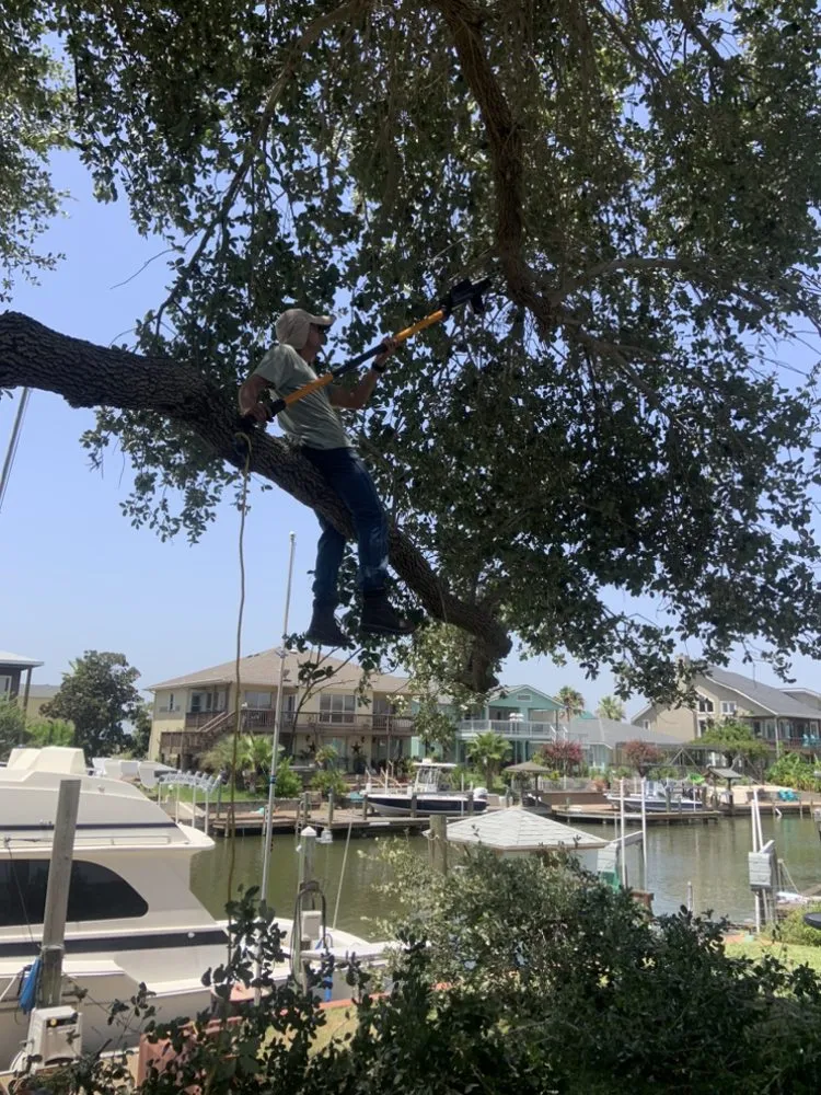 Custom yard maintenance in Kingsville, TX by Travis’ Lawn Service