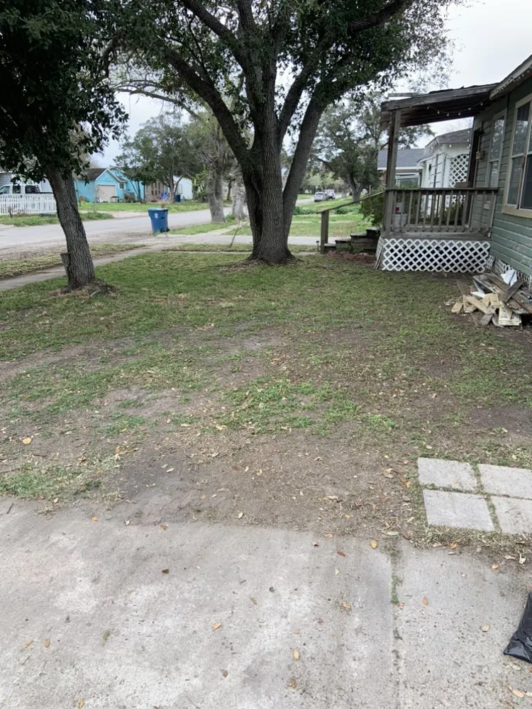 Affordable lawn care service for year-round maintenance in Kingsville, TX by Travis’ Lawn Service