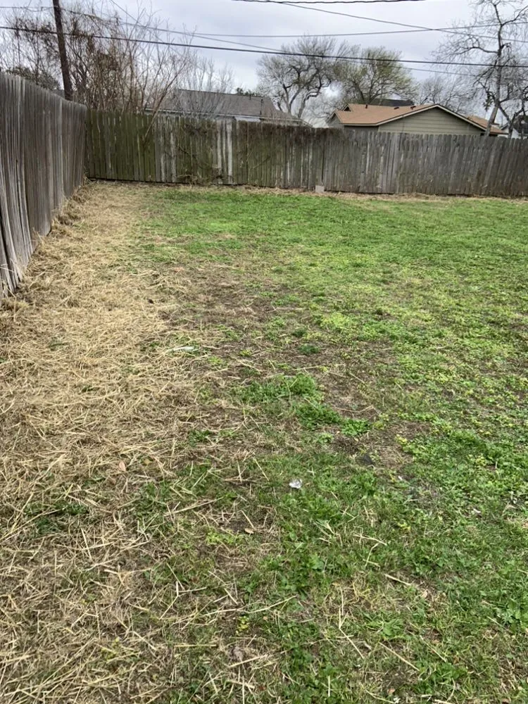 Affordable landscape installation in Kingsville, TX - Travis’ Lawn Service