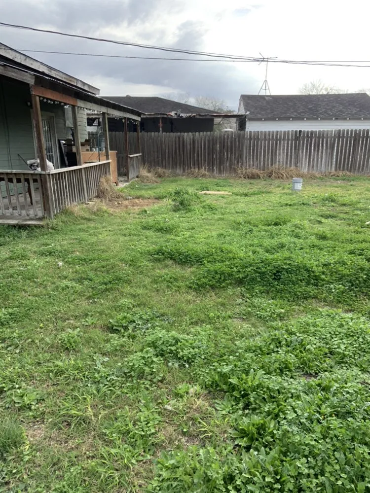 Reliable landscaping services in Kingsville, TX - Travis’ Lawn Service