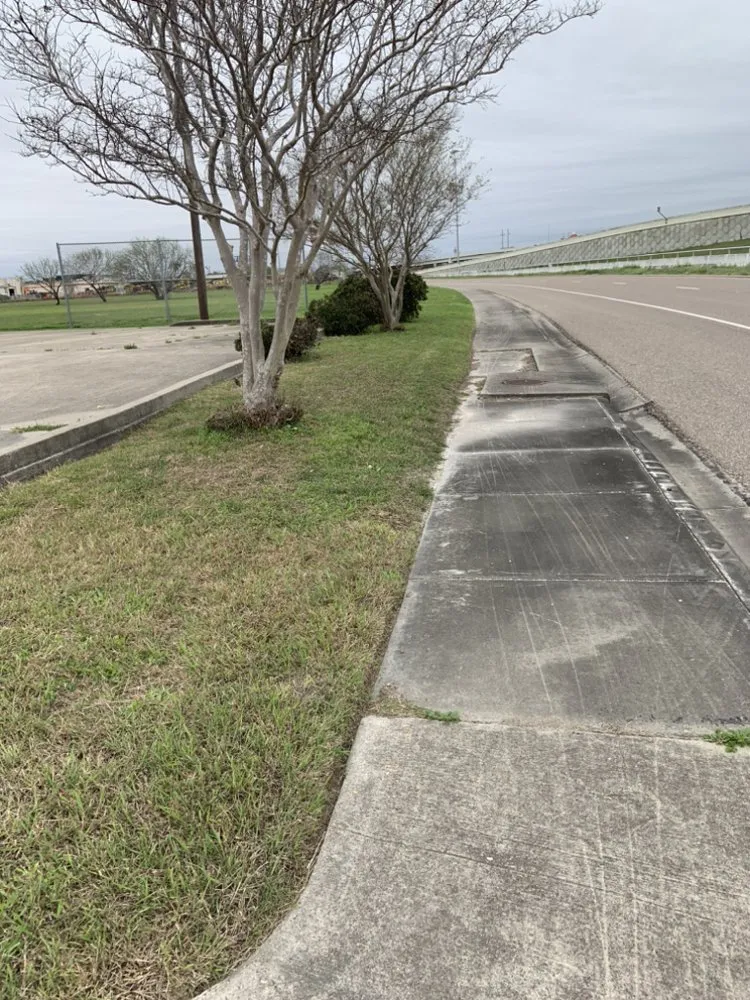 Top-rated residential landscaping in Kingsville, TX - Travis’ Lawn Service