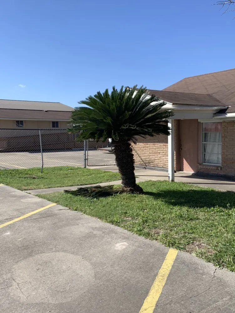 Expert outdoor landscaping experts serving Kingsville, TX - Travis’ Lawn Service