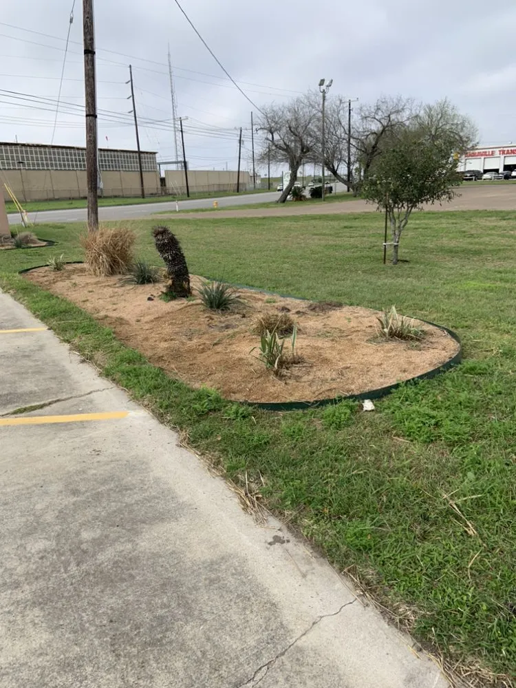 Local outdoor landscaping in Kingsville, TX by Travis’ Lawn Service