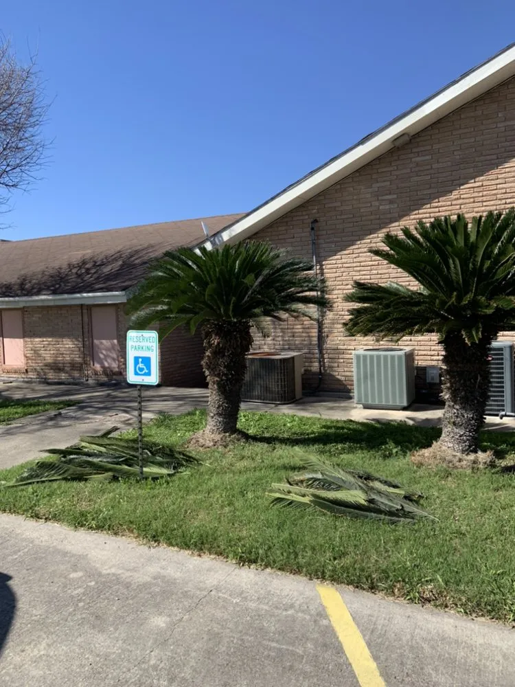 Top-rated yard cleanup service in Kingsville, TX by Travis’ Lawn Service