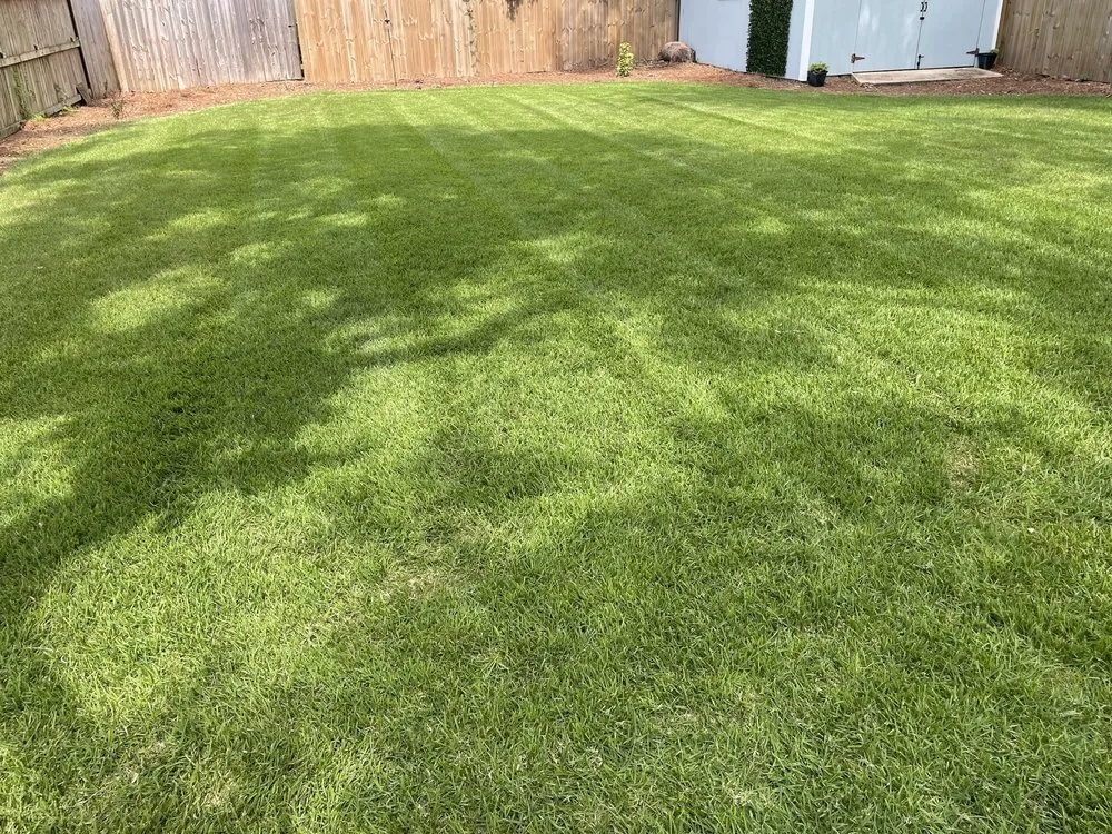 Expert lawn mowing service for outdoor upgrades across Milton, FL - Travis Lawncare