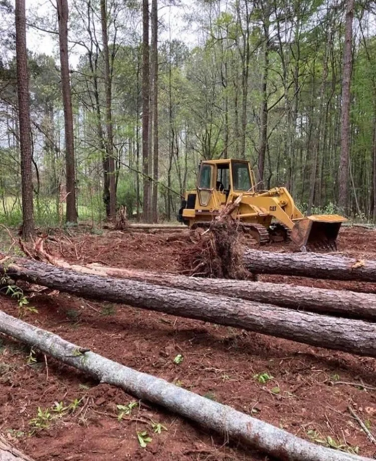 Expert garden landscaping experts serving Seneca, SC - Travis Lynn Landscaping & Grading