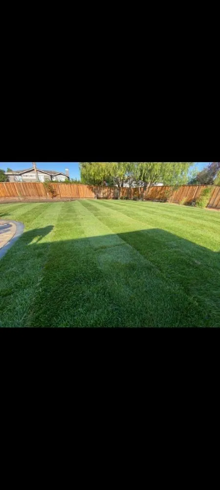 Professional lawn mowing service for homes in Tracy, CA by Travis Preston Landscaping