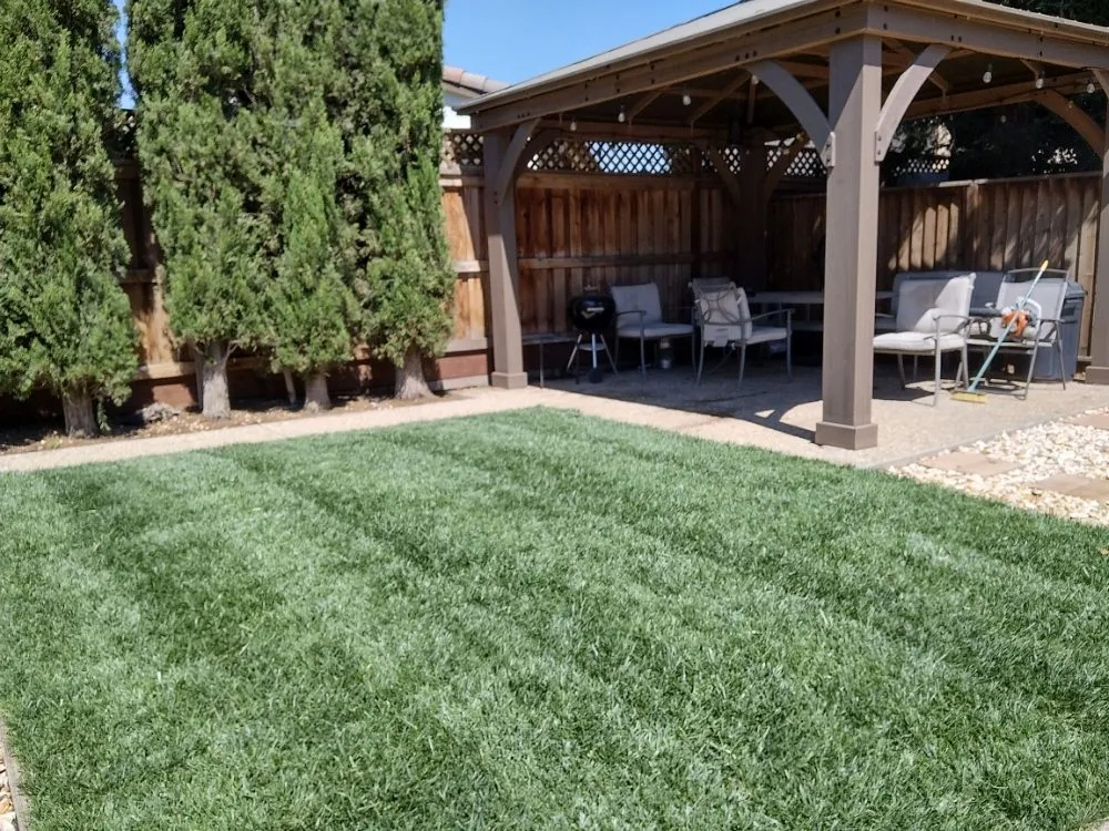 Expert landscape design for year-round maintenance in Tracy, CA by Travis Preston Landscaping