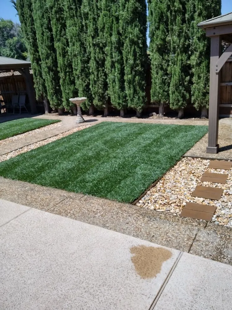 Local yard cleanup service for residential properties across Tracy, CA - Travis Preston Landscaping