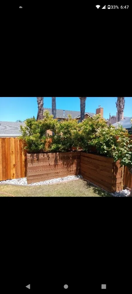 Affordable yard cleanup service in Tracy, CA by Travis Preston Landscaping